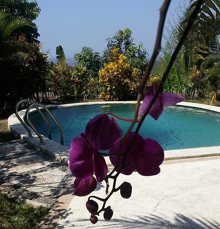 West Bali Villas-Umasari Resort Negara  Eksteriør billede