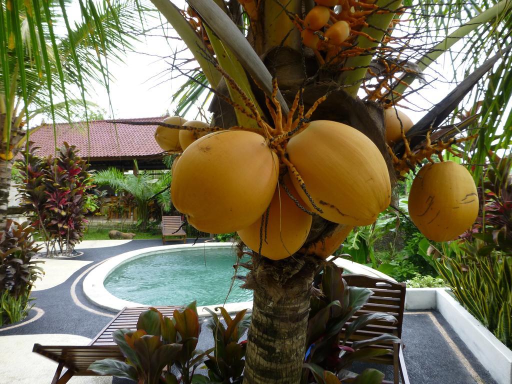 West Bali Villas-Umasari Resort Negara  Værelse billede