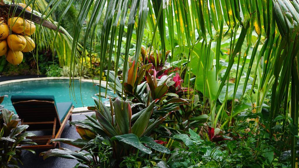 West Bali Villas-Umasari Resort Negara  Eksteriør billede