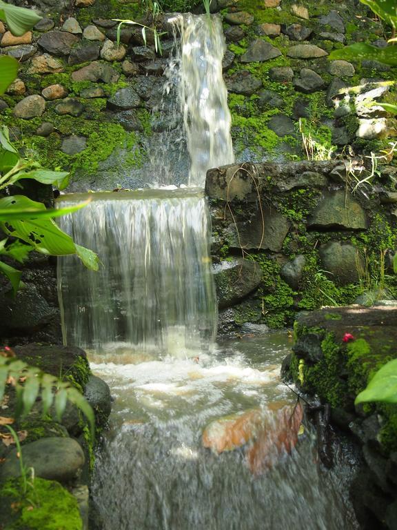 West Bali Villas-Umasari Resort Negara  Eksteriør billede