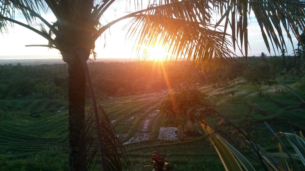 West Bali Villas-Umasari Resort Negara  Eksteriør billede