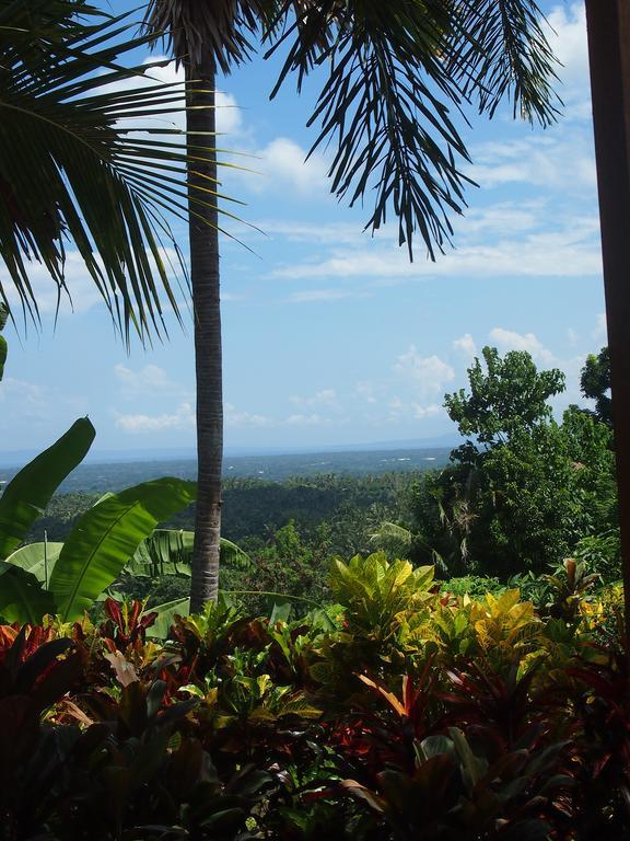 West Bali Villas-Umasari Resort Negara  Eksteriør billede