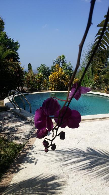 West Bali Villas-Umasari Resort Negara  Eksteriør billede